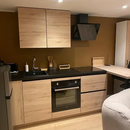 New! Le Corberon In Hypercentre Avec Parking Apartment Colmar